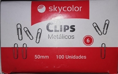 CLIPS METALICOS SKYCOLOR N6 X100