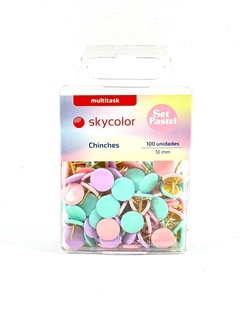 CHINCHES SKYCOLOR EN ESTUCHE X100 PASTEL