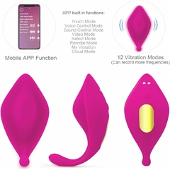 Vibrador de Calcinha com APP na internet