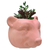 Vaso de Parede Cachepot Urso Rosa Cerâmica - comprar online