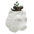 Vaso de Parede Cachepot Leão Branco Porcelana - comprar online