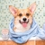 Escova de banho e massagem para Pet c/ Recipiente Shampoo - loja online