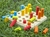 Pinos de Encaixe em Madeira Montessori - Brinquedo Educativo Pedagógico Infantil na internet