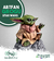 Grogu - Star Wars na internet