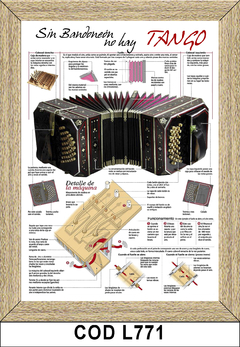 Bandoneon COD -771