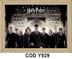 Cine - Harry Potter - Y930 en internet