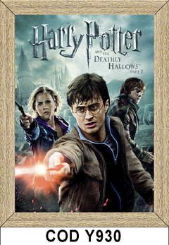 Cine - Harry Potter - Y930