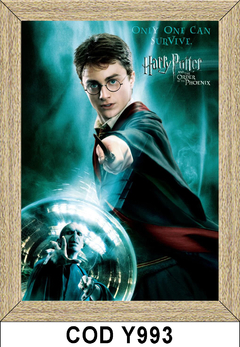 Cine - Harry Potter - Y992 en internet