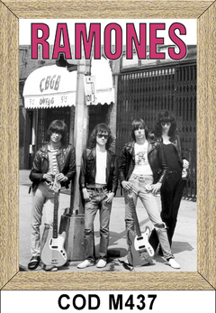 Ramones COD - C458 en internet