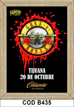 Guns N Roses - COD C452 en internet