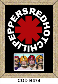 Red Hot Chili Peppers-B474