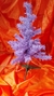 Arbol bariloche 60 cm - Cotillon Yah Yah