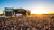 Lollapalooza Brasil 2025 - comprar online