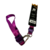 Conjunto Coleira com Guia Premium - Roxo - Cindy na internet