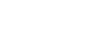 Wedge