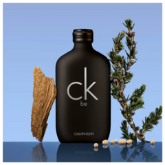 CK Be Calvin Klein Eau de Toilette - Perfume Unissex 100ml na internet