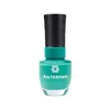 ANA HICKMANN ESMALTE MENTA