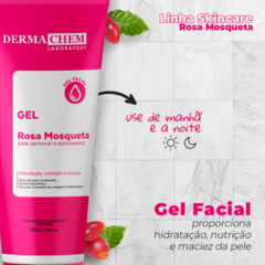 GEL ROSA MOSQUETA 100G DERMACHEM - comprar online