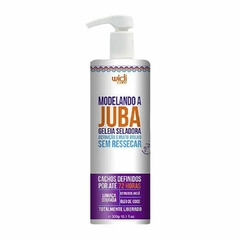 MODELANDO A JUBA GELEIA SELADORA CONDICIONANTE - WD - 300 GR