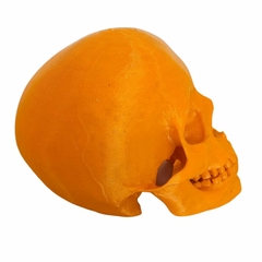 Cabeça de caveira Halloween - comprar online