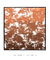 Abstract Orange V - comprar online