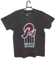 Camiseta Pearl Jam na internet