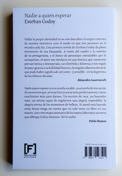 Nadie a quien esperar - Esteban Godoy - comprar online