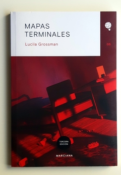 Mapas terminales - Lucila Grossman