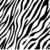 Adesivo Contact VMP 94 - Zebra