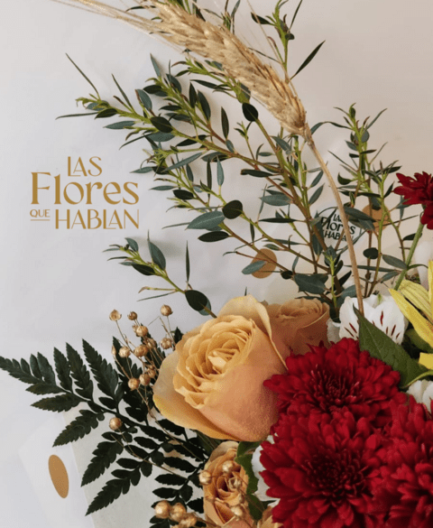 Carrusel Las Flores que Hablan