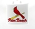 Almofada - Arizona Cardinals - Palm Beach - Original