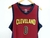 CAMISA INFANTIL NBA - CLEVELAND - comprar online