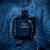 PERFUME BLEU DE CHANEL - USE FELTH