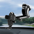 Suporte Celular Gps Carro Veicular Trava Automática 360º