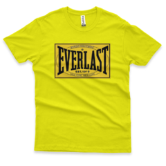 Everlast na internet