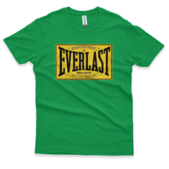 Everlast na internet