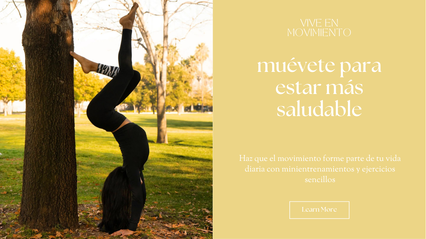 Imagen del carrusel GoYoga.cl