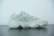 Adidas Yeezy 500 Salt White na internet