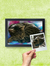 Quadro Foto do seu Pet - Modelo Fundo Colorido3 - Expressart impressões personalizadas