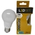 Lâmpada Led 12W | Bivolt | Bulbo Soquete E27 | Luz Branca | LedBee