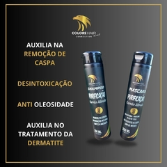 Shampoo + Mascara PURIFICAÇÃO