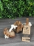 Corda Madeira de Café - Wood n' pets na internet