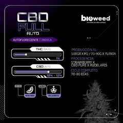 CBD FULL ( AUTOFLORECIENTE ) BLISTER X 3 SEMILLAS - comprar online