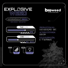 EXPLOSIVE WEED ( FOTOPERIODICA ) BLISTER X 3 SEMILLAS - comprar online