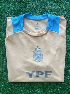 camiseta AFA 2024 premach dorada - tienda online