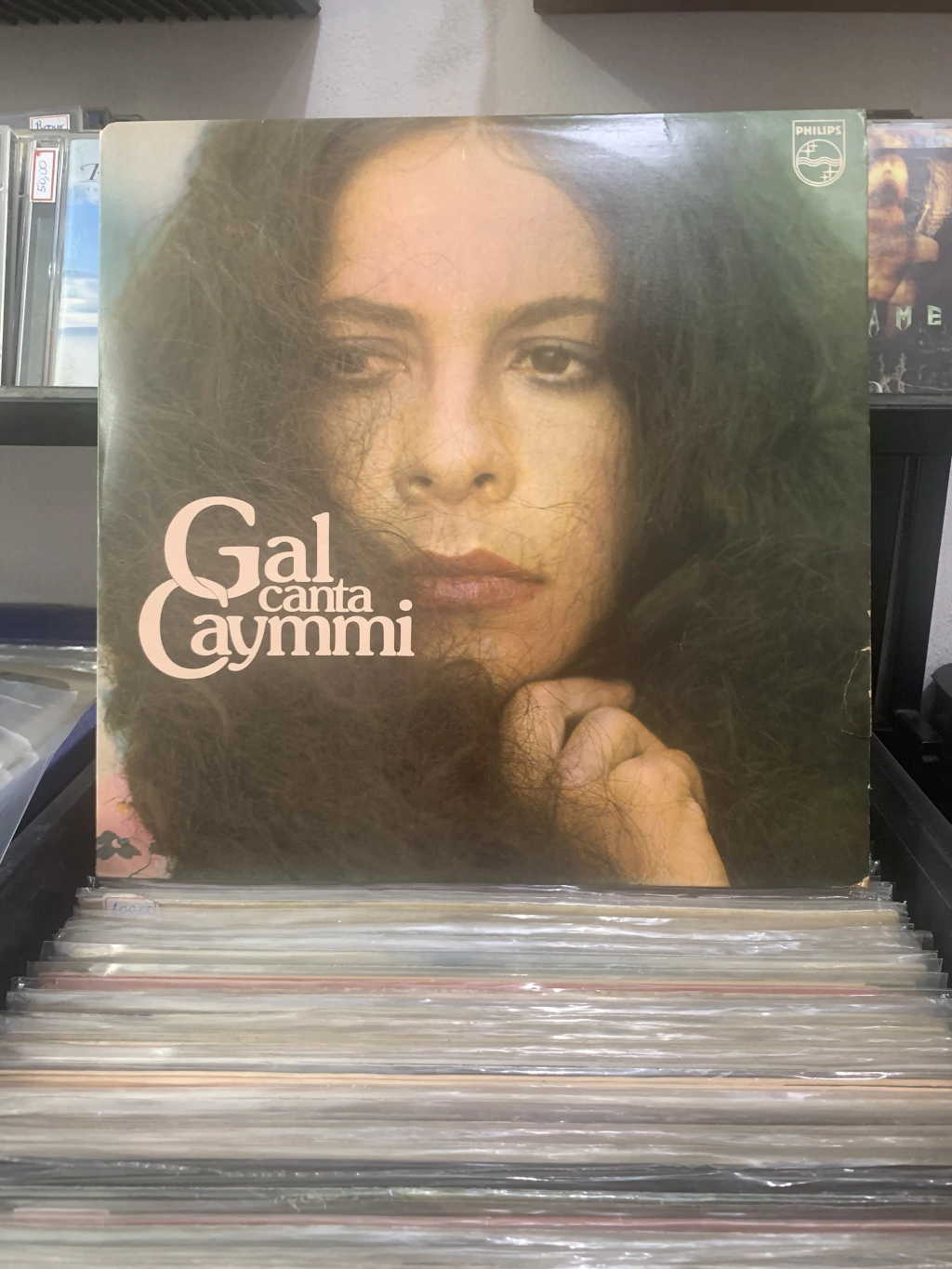 GAL CANTA CAYNNI ( 1976 )