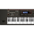 Consultar Sintetizador Roland XPS30 61 Teclas - comprar online