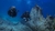 Mergulo Profundo (SDI Deep Diver)