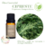 ÓLEO ESSENCIAL CIPRESTE 10ML - VIA AROMA