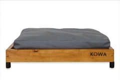 KOWA BED1 - comprar online